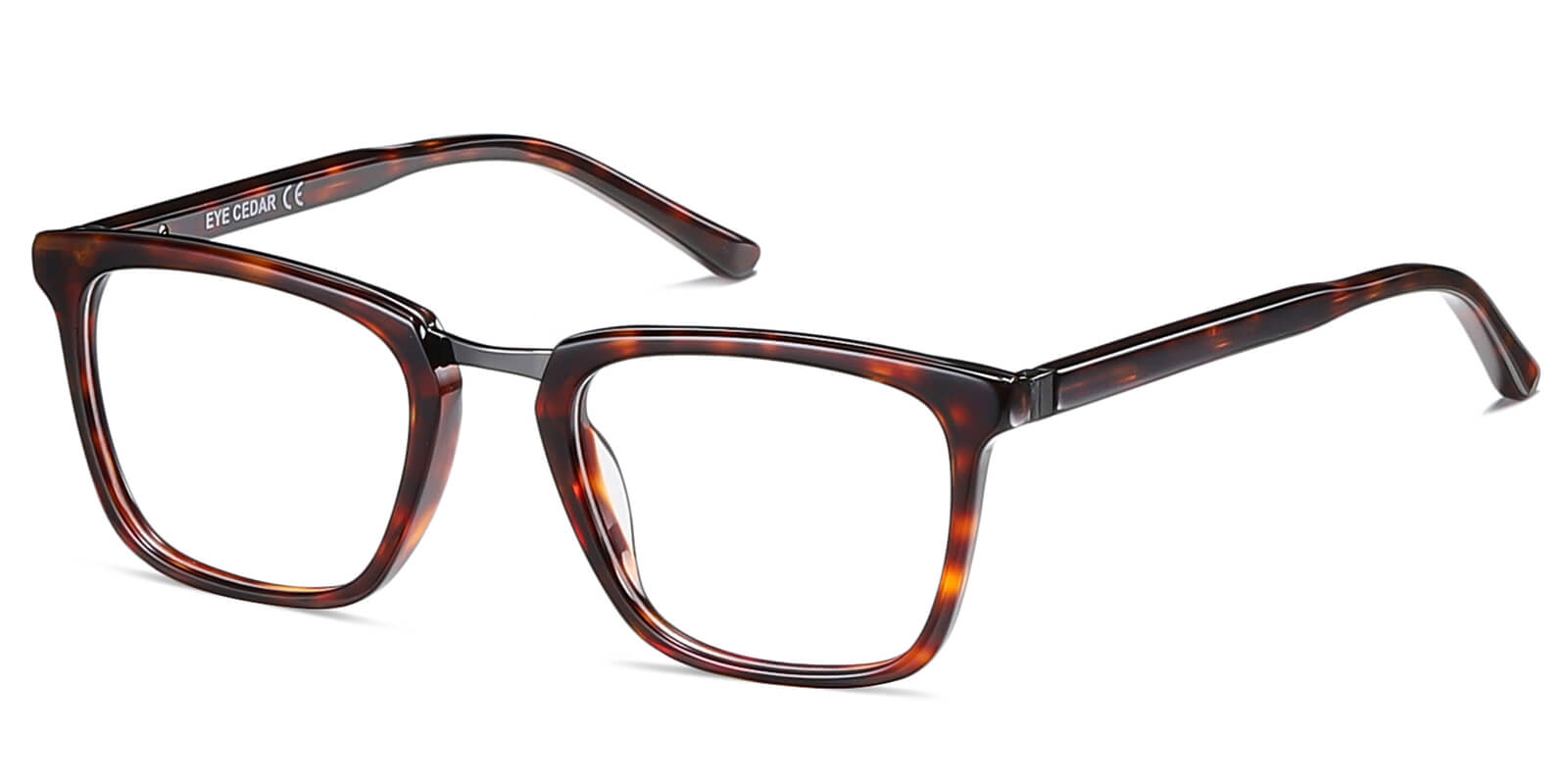 EYE8068-Diven-tortoise