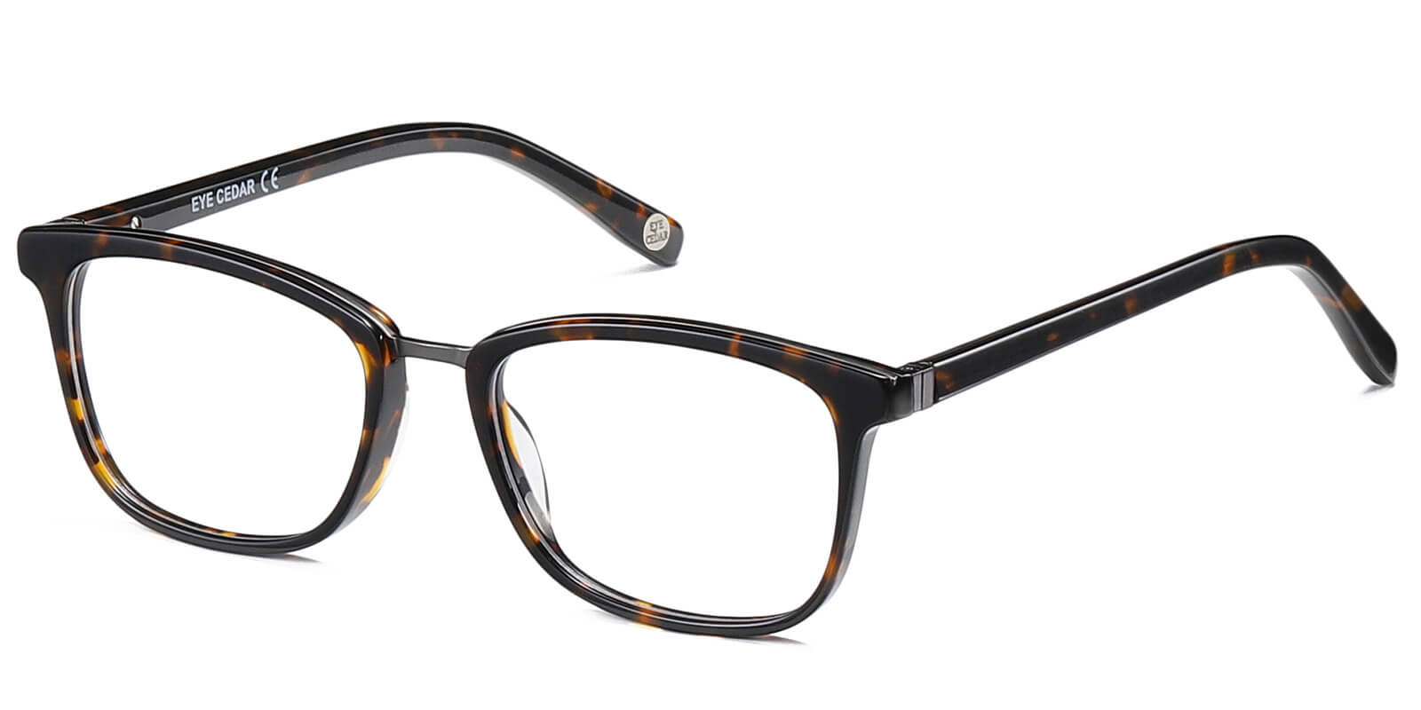 EYE8069-Willcern-tortoise