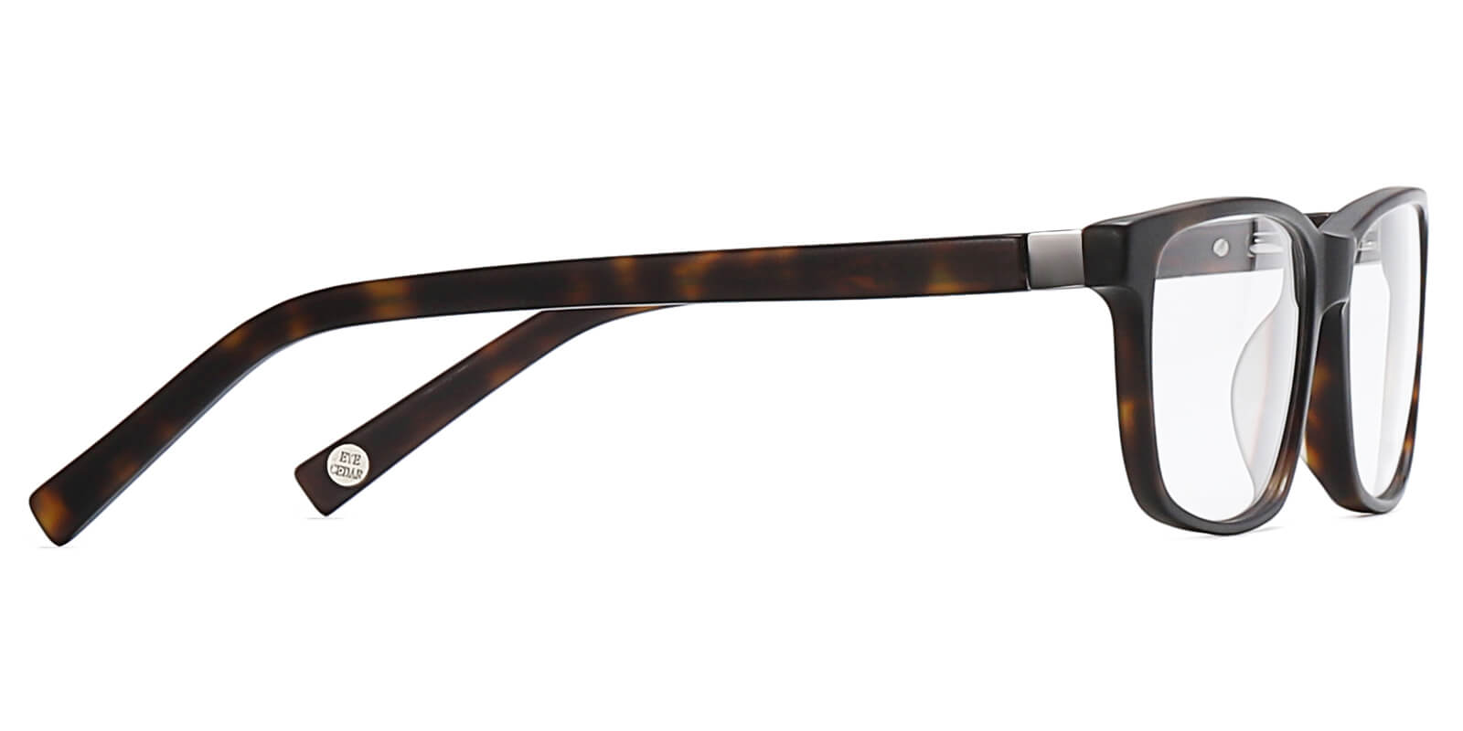 EYE8076-Sttin-tortoise