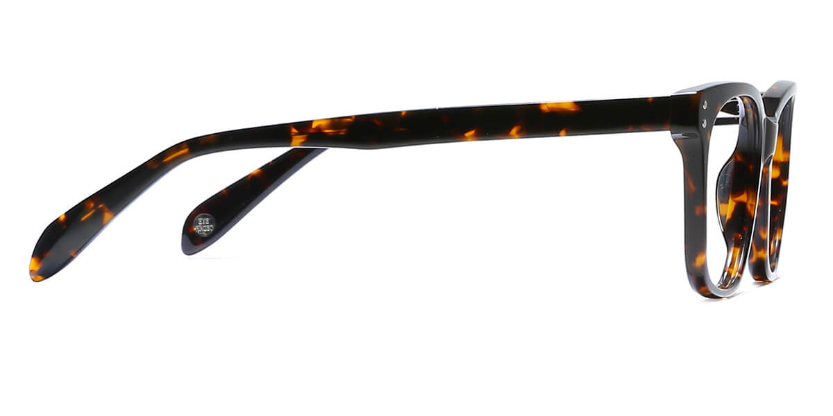 EYE8001-1-Dorian-tortoise