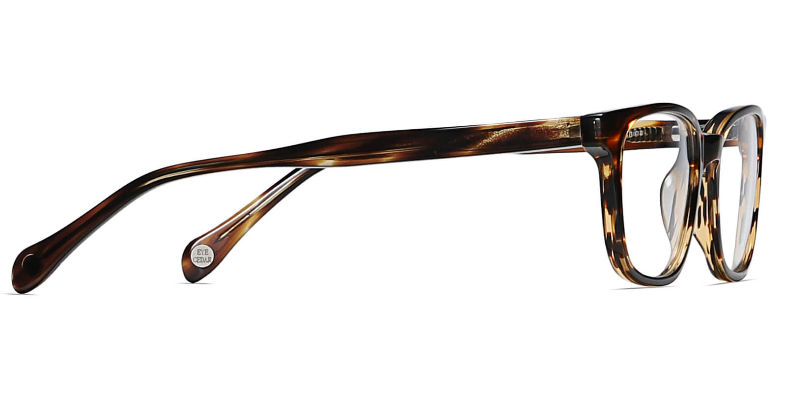 EYE8021-Blacle-tortoise