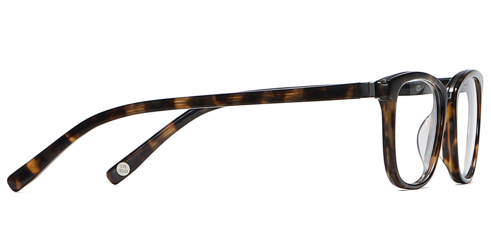 EYE8069-1-Willens-dark