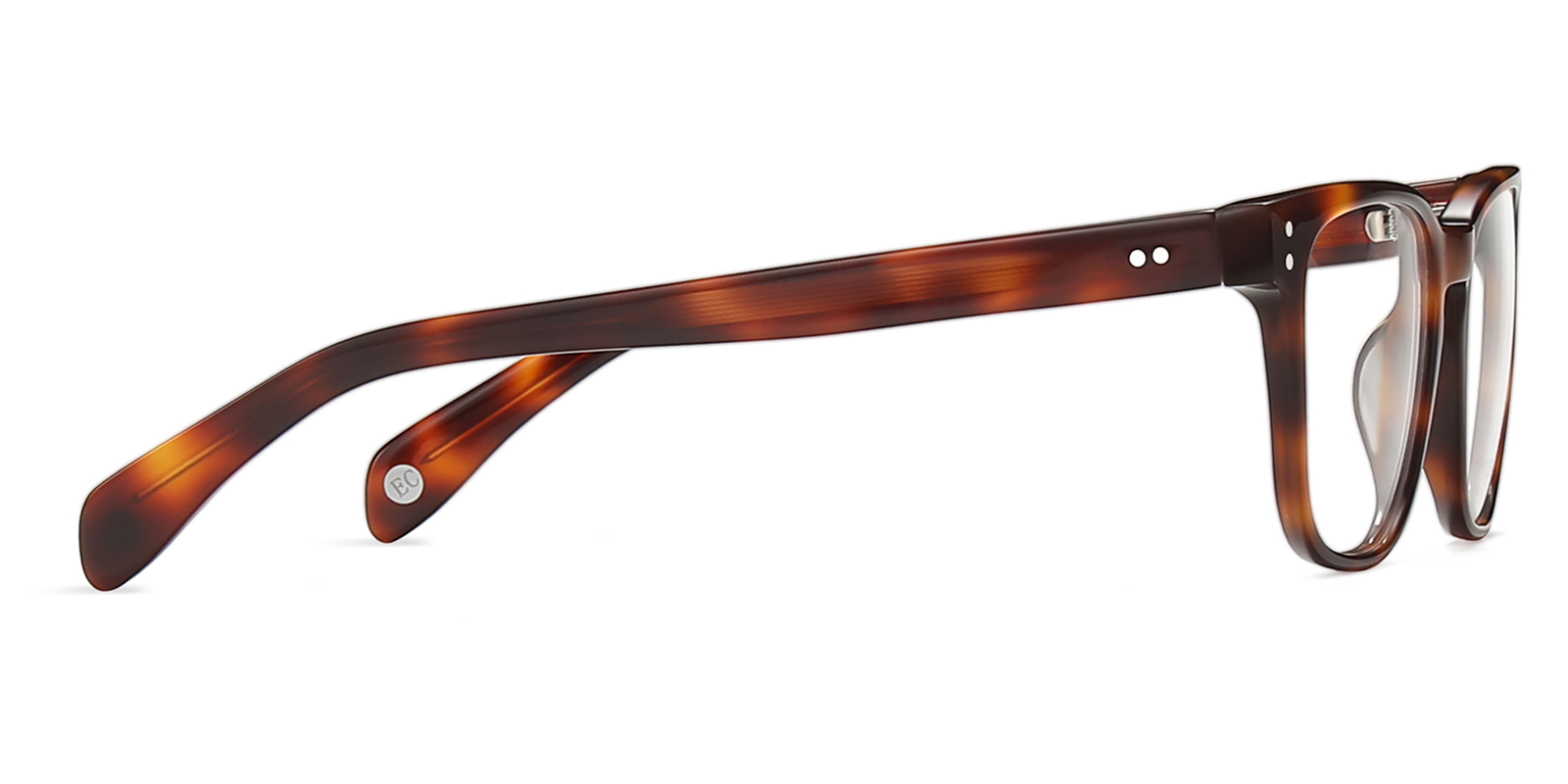 9887TL-Semiye-tortoise