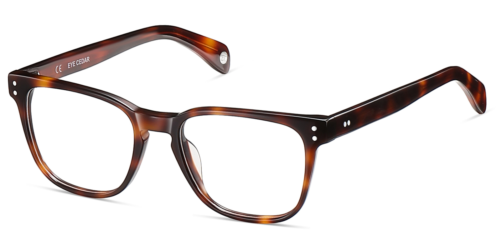 9887TL-Semiye-tortoise