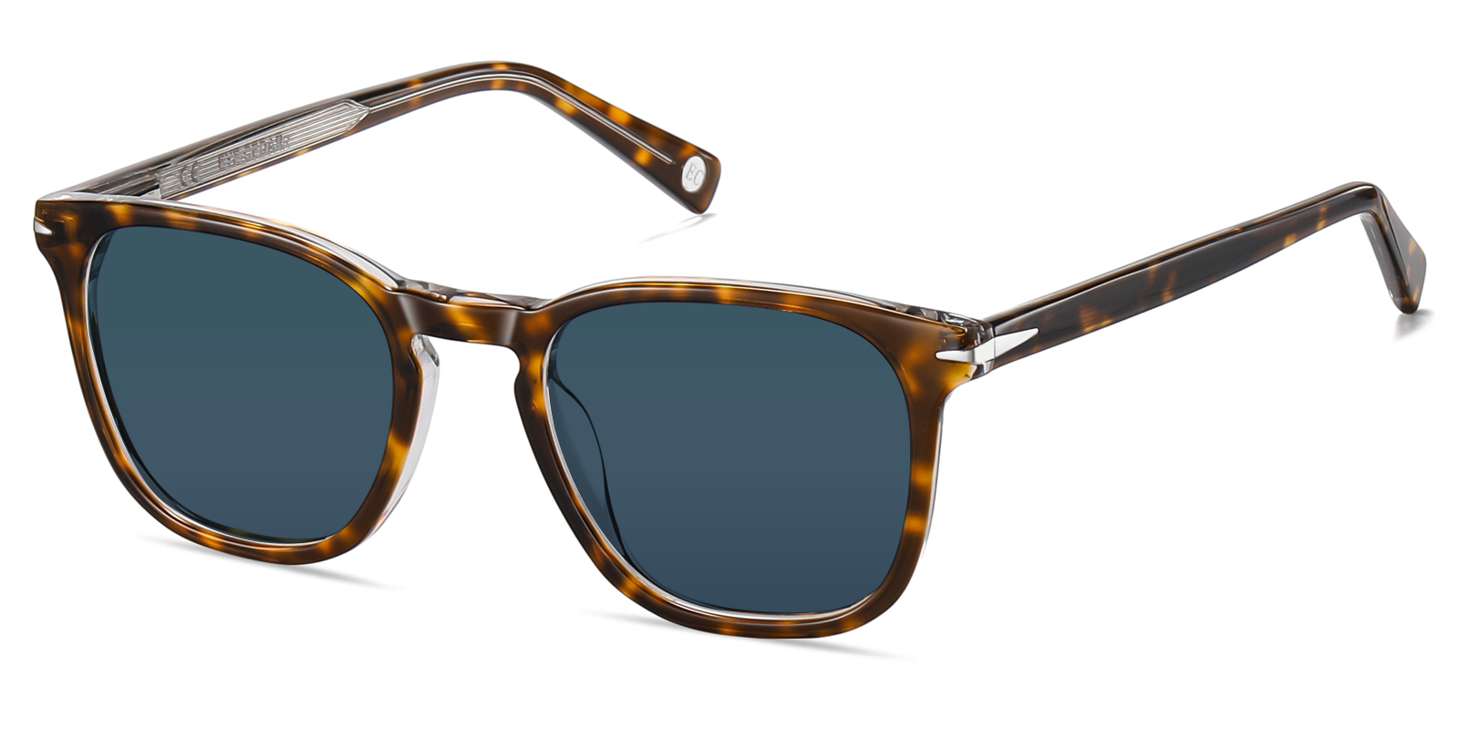 S8896TO-Gaise-tortoise