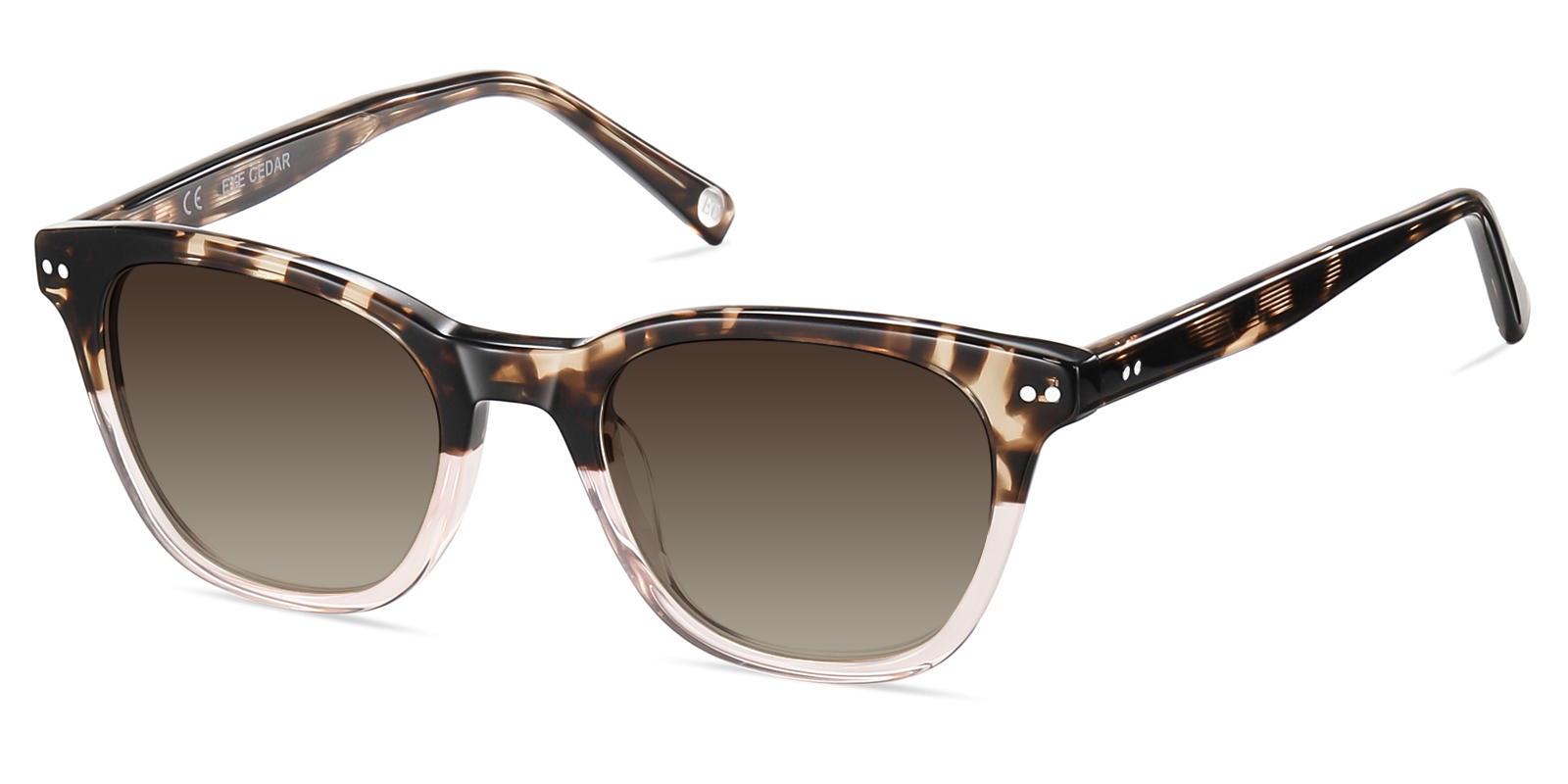 S8975TL-Ublich-tortoise