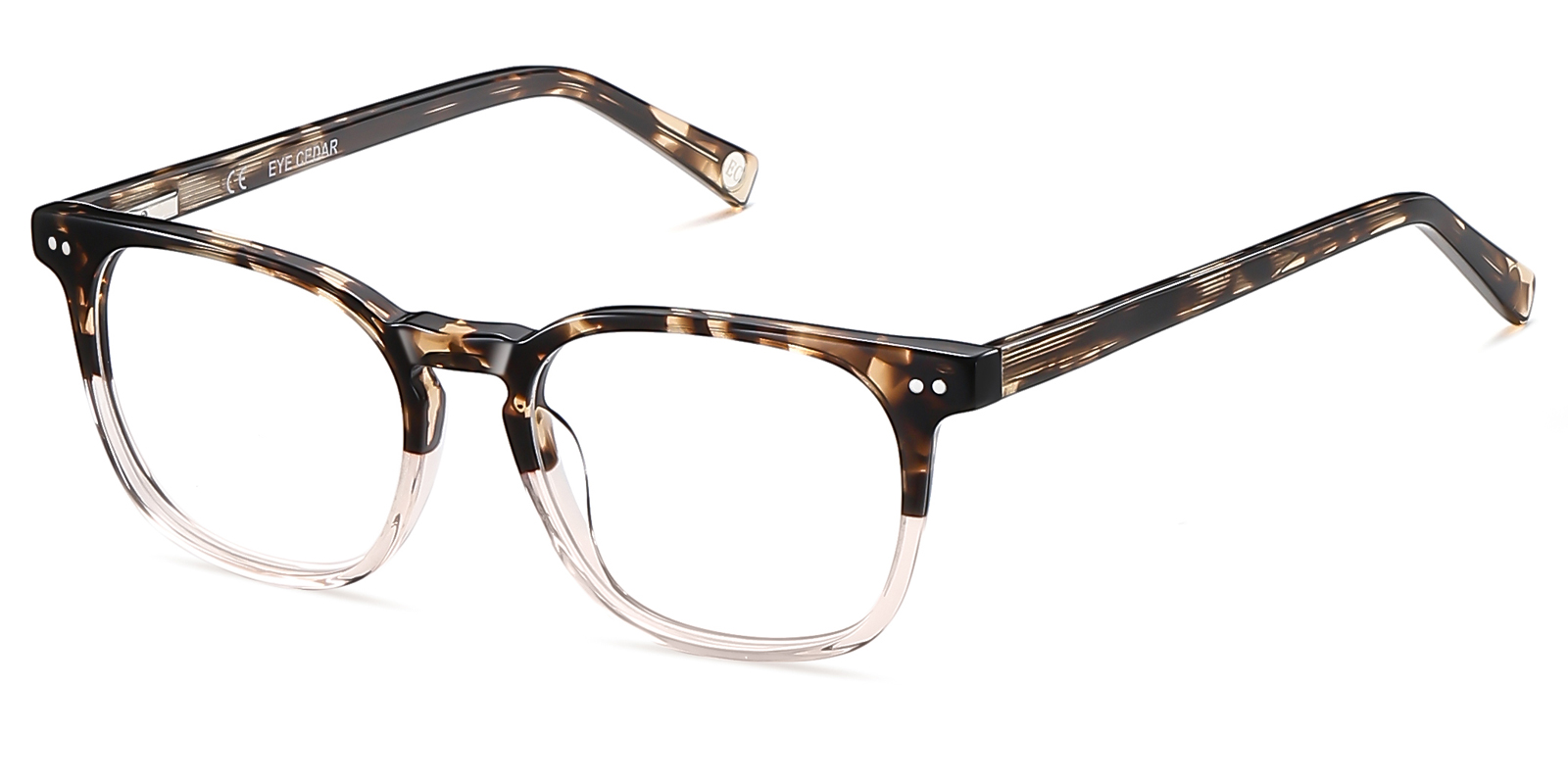 9858TG-Waiston-tortoise