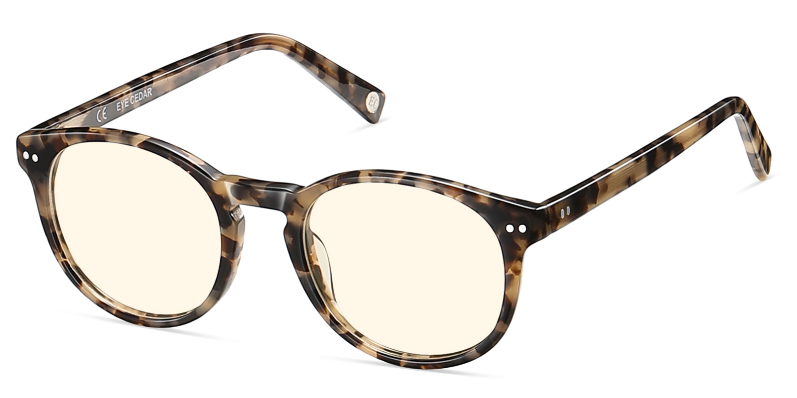 BY8895TL-Quada-tortoise