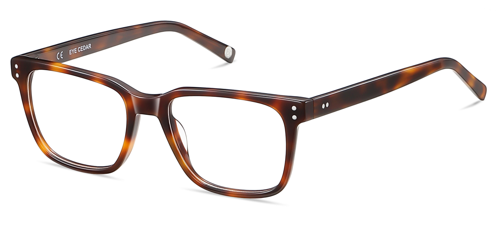 8985TL-Duben-tortoise