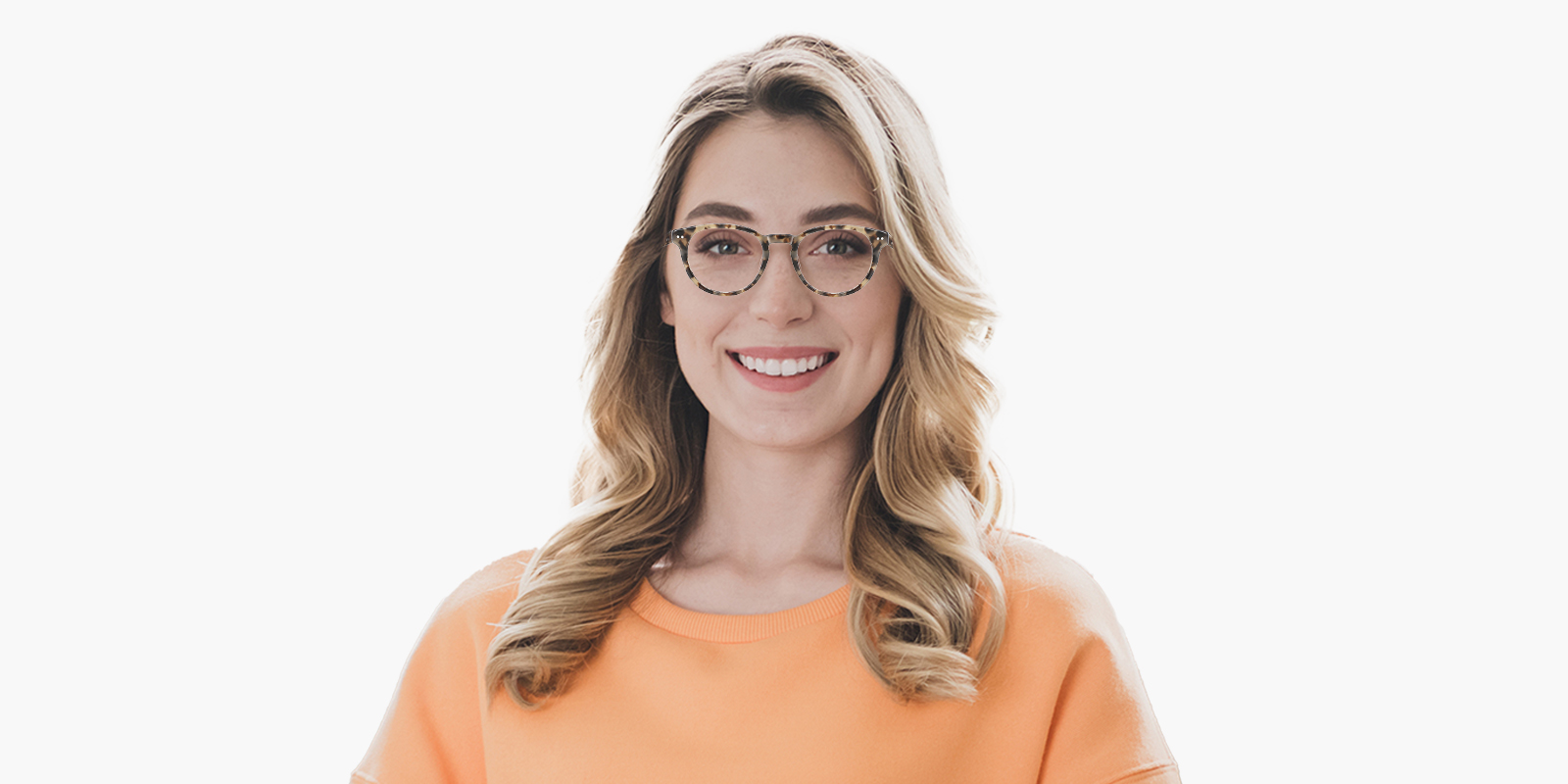 8886TL-Imure-tortoise_pc_4