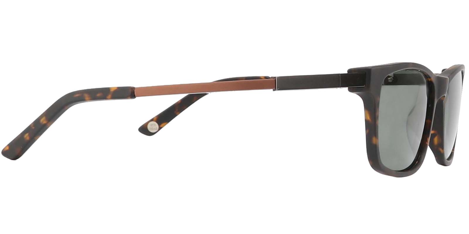 EYE8062-1S-Bligory-tortoise