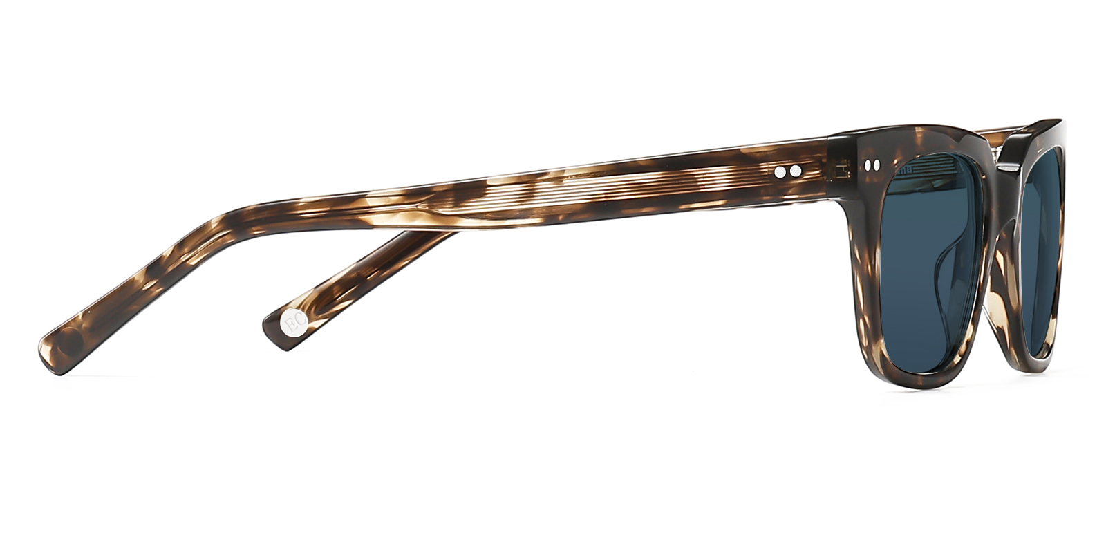 S8885TL-Hugu-tortoise