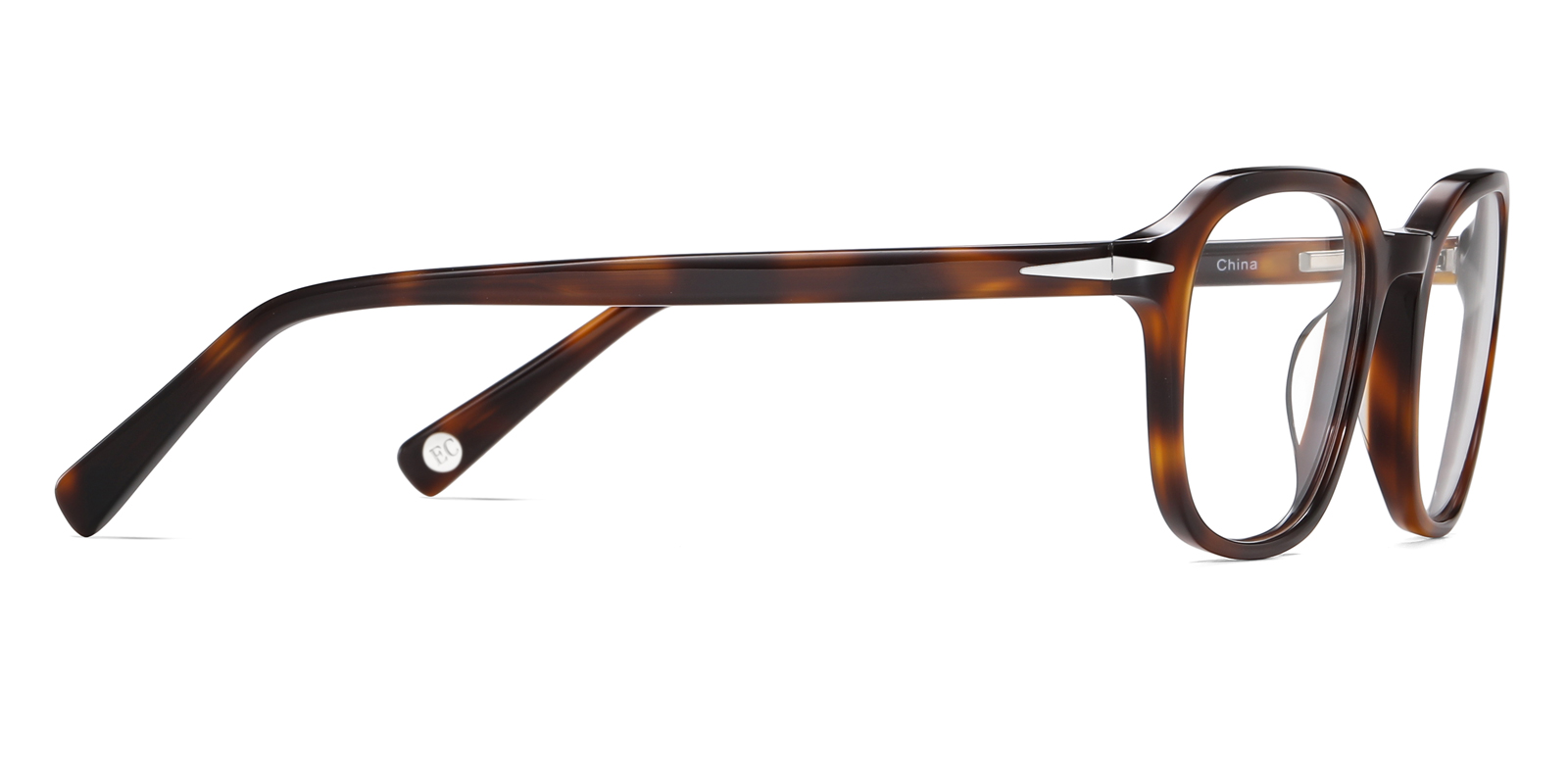 8972TL-Rimili-tortoise