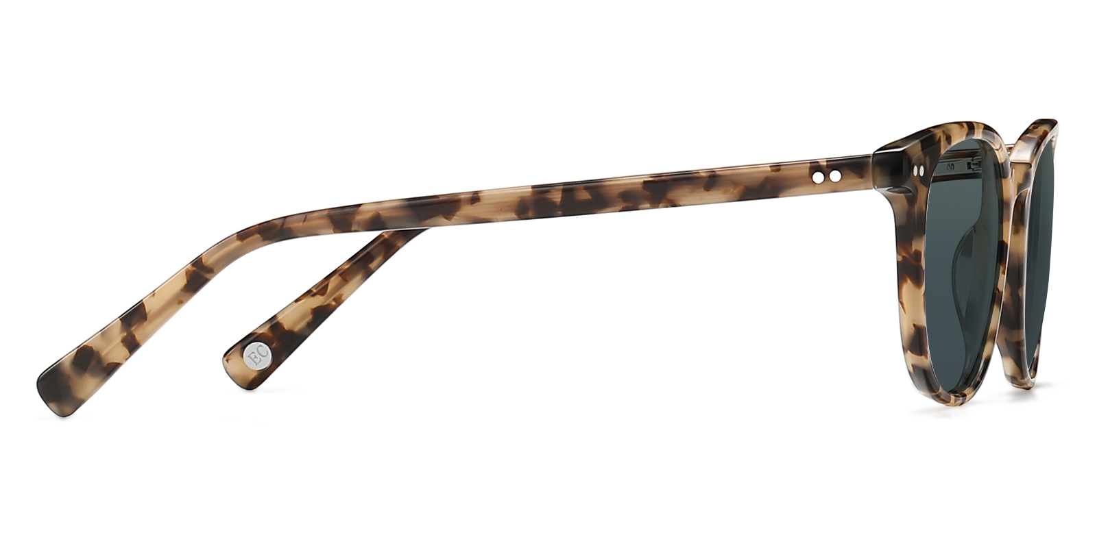 S8991TL-Zuter-tortoise