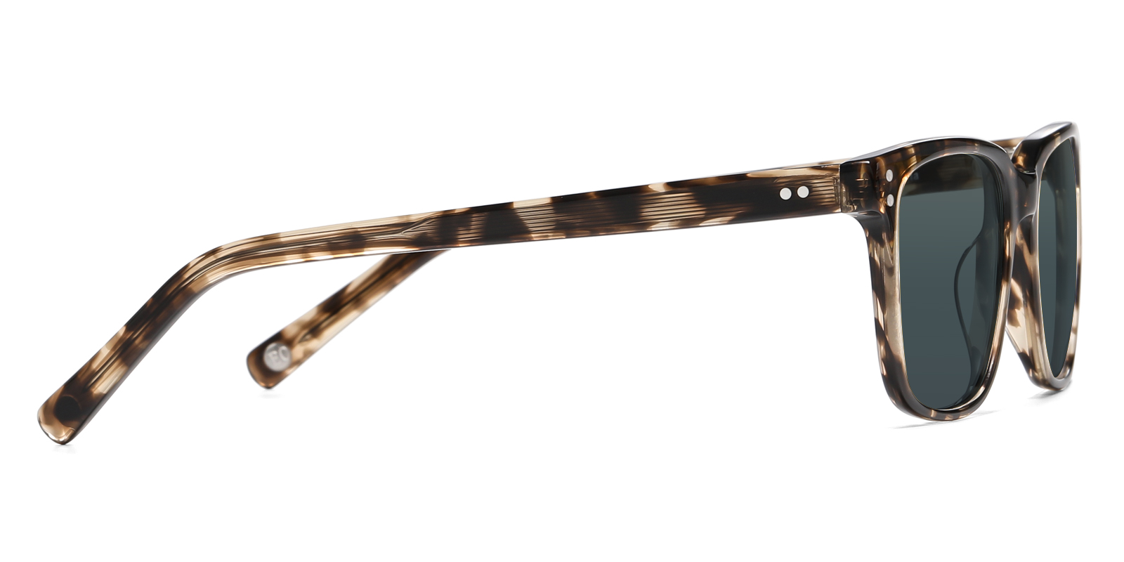 S8986TL-Ogens-tortoise