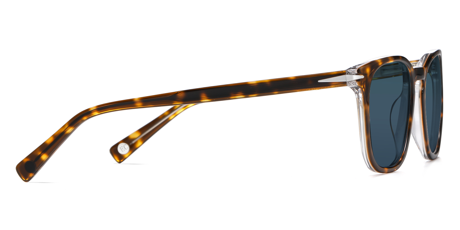 S8896TO-Gaise-tortoise