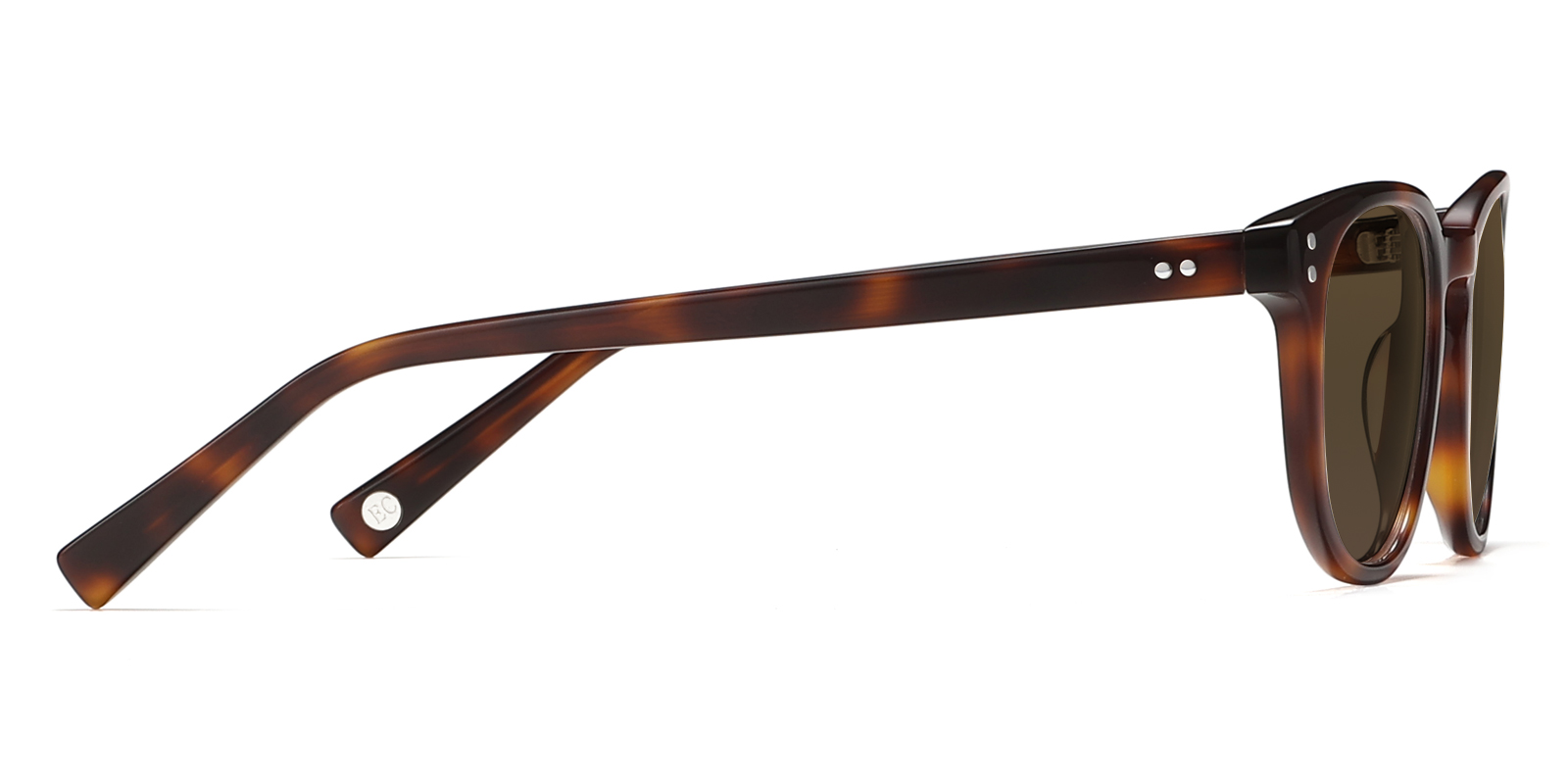 S8995TL-Kodie-tortoise