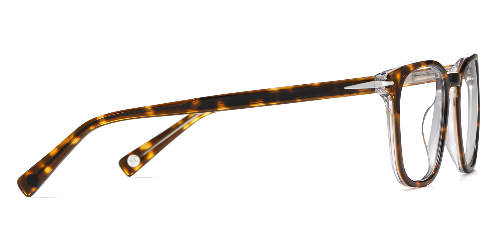 8896TO-Gaise-tortoise