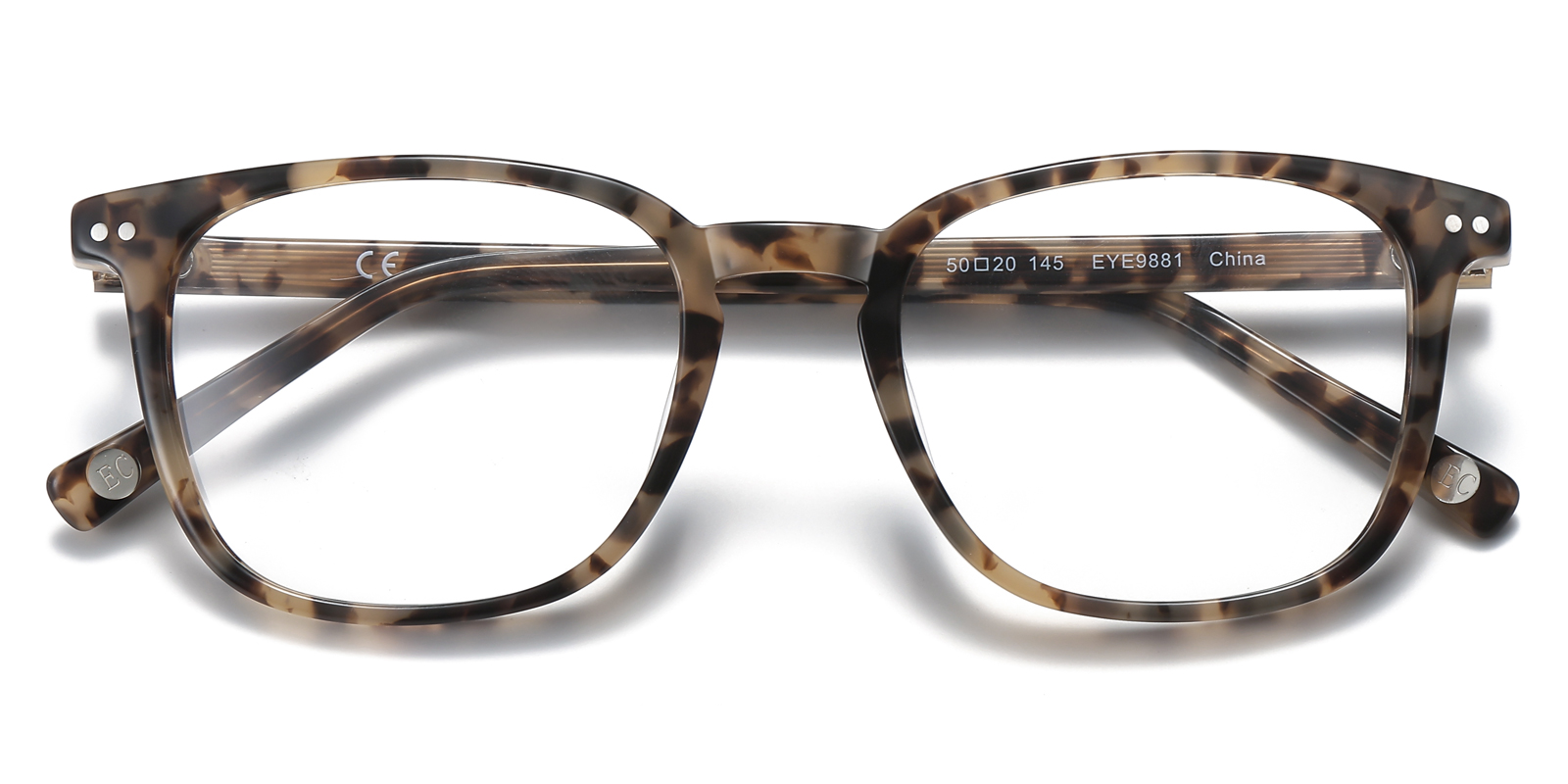 9881TL-Orwin-tortoise