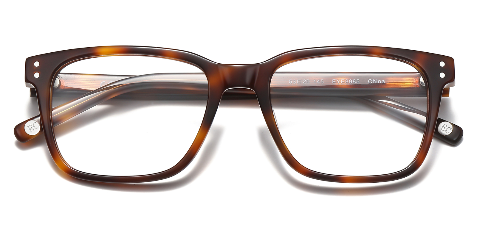 8985TL-Duben-tortoise