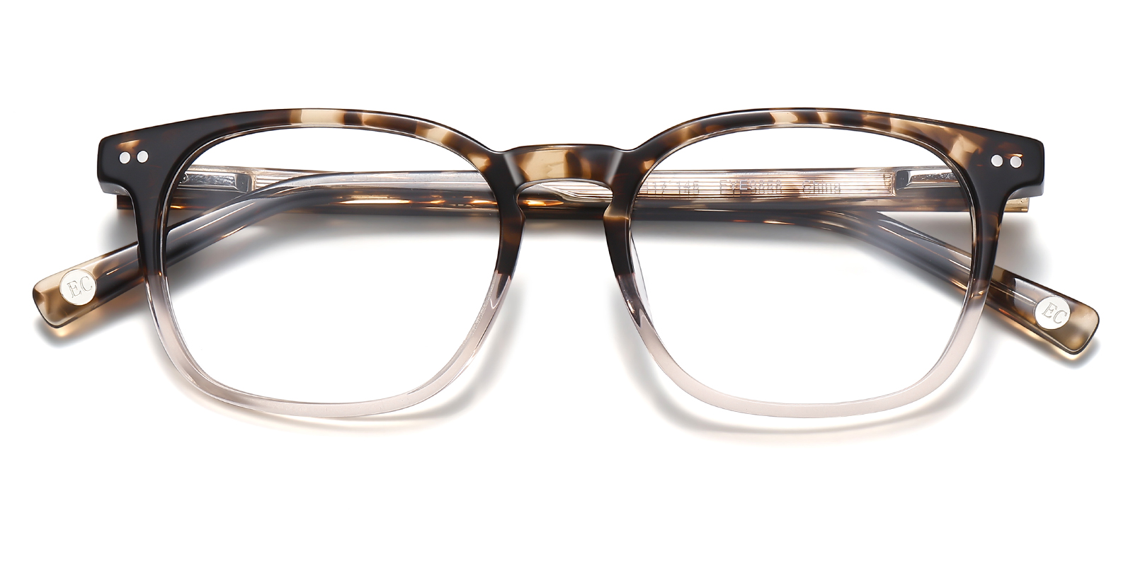 9858TG-Waiston-tortoise