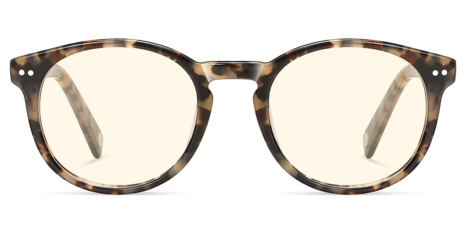 BY8895TL-Quada-tortoise