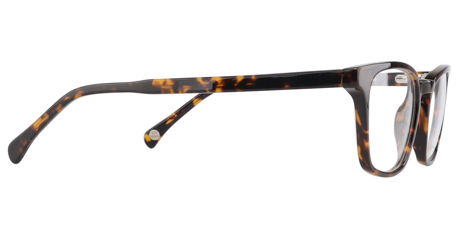 EYE8020-Spacie-tortoise