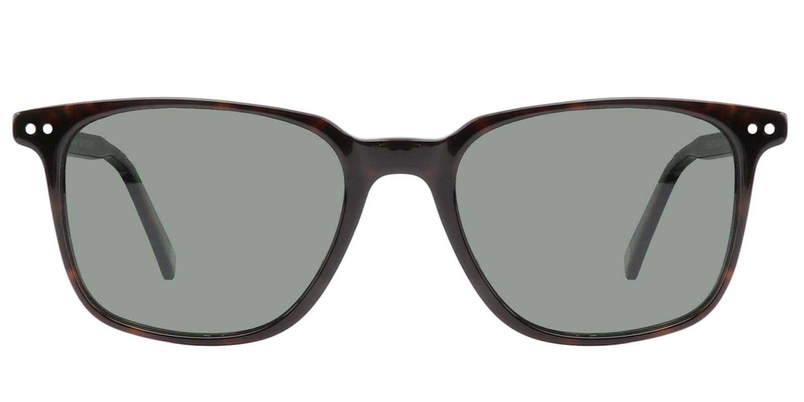 EYE8071S-Noirrin-tortoise