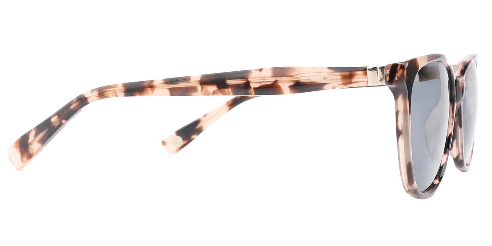 EYE8052S-Aurople-tortoise 1