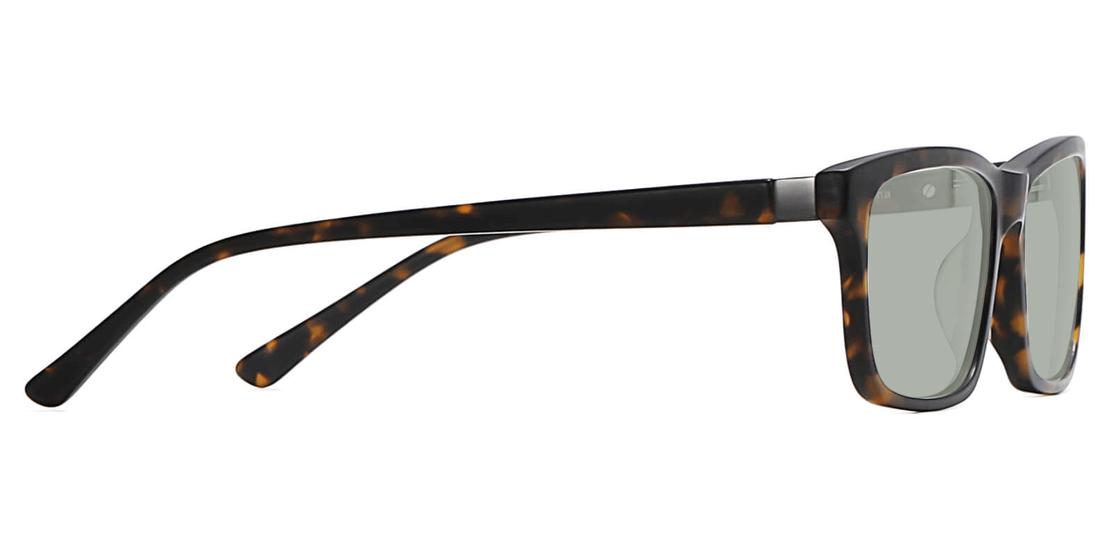 EYE8078S-Sunth-tortoise